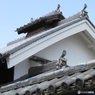 富田林「奥谷家住宅」