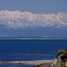 立山連峰を望む