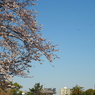 P3260051