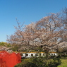 P3260193
