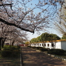 P3260238