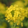 P3060121