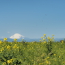 P3140008