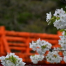 奇絶峡へ。