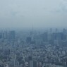 東京タワー方向