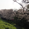 P3270039