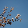 P3270050