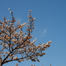 P3270054