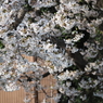 P3270108
