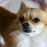 まろんです(･ω･)b24