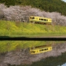 早朝は綺麗な水鏡！