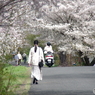 道