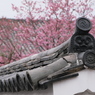 陽光桜と鬼瓦