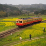P3310973