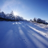 雪原の足跡