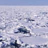 知床の流氷