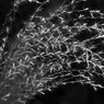 photo_1027617