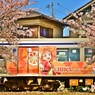 桜が終わる前に・・・ﾗﾌﾞﾗｲﾌﾞｻﾝｼｬｲﾝ