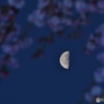 夜明け前