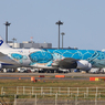 「すかい」Flying Honu A380-841 JA382A