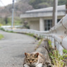 ほへへ