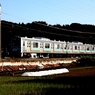 田舎をゆく