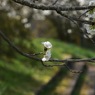 写真エッセイ：希望
