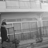 家庭から社会へ