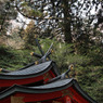 箱根神社　里宮