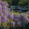 西寒田神社