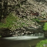 深夜の観音寺川