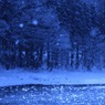 雪の輝き