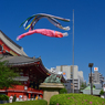 「春風吹いて」