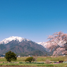 安曇野の春景