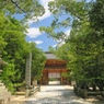 再々来の大山祇