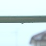 雨