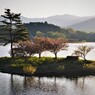 晩春の浮島