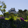 新緑の和歌山城　其の一