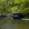 新緑の和歌山城　其の八