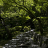 新緑の和歌山城　其の十