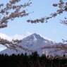 補遺：観音寺参道からみた磐梯山