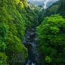 里山の朝