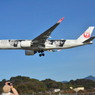 JAL 124