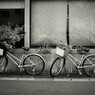 レンタサイクル　待機中