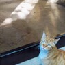 ねぇ　お願い～♡　ドア開けて～♡