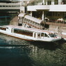 TEST41c