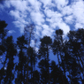 碧空