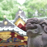 狛犬_金王八幡宮