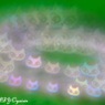 猫のネックレス（LENSBABY）