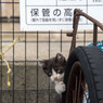 てへへ